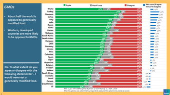199it 互聯網數據資訊中心的專業服務與價值
