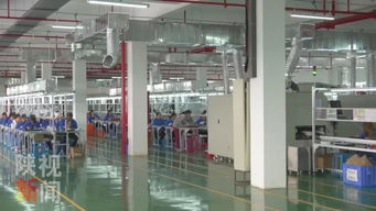 數字賦能，精準破局 安康運用大數據互聯網為貧困戶打通脫貧新路徑