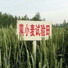 真空包裝農(nóng)產(chǎn)品 從廠家到批發(fā)市場的產(chǎn)業(yè)鏈解析