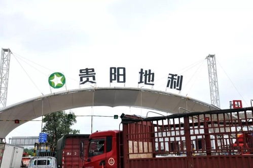 地利集團(tuán)十家農(nóng)批市場榮膺2018年度全國百強(qiáng)，彰顯農(nóng)產(chǎn)品流通行業(yè)標(biāo)桿力量