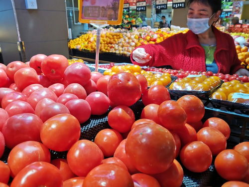 深圳強化食用農產品質量安全監管 批發市場月快檢900次，筑牢全鏈條安全防線